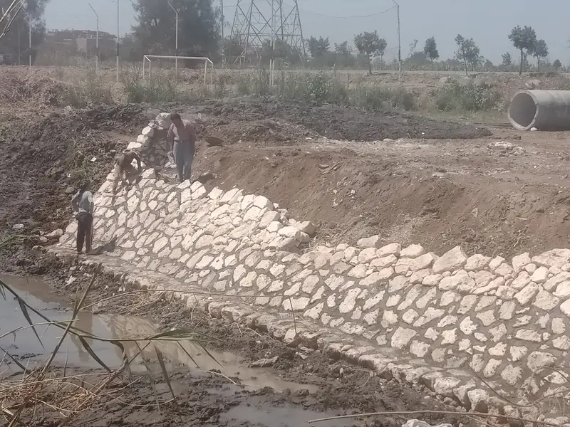 تدبيش جسور الترعة عند المأخذ